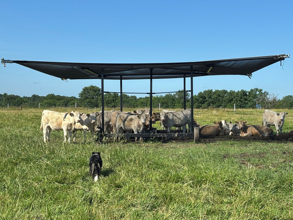Advantage Portable Shade