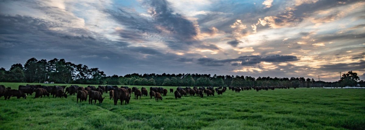 National Grazing Lands Coalition - Partners in Conservation - Powerflex