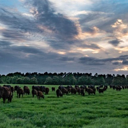 National Grazing Lands Coalition - Partners in Conservation - Powerflex