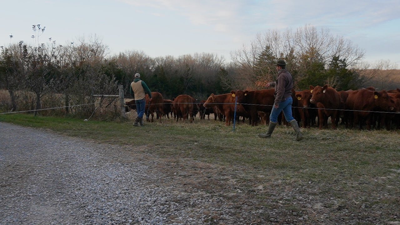 Picking a Fence Post For Your Farm - Powerflex