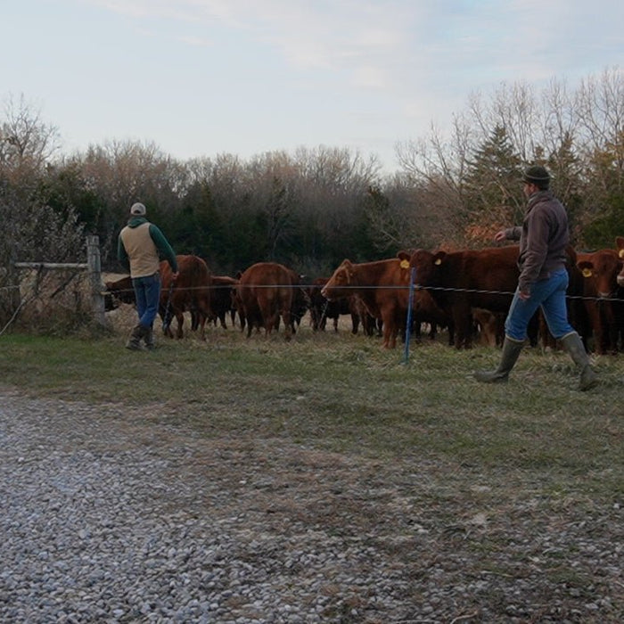 Picking a Fence Post For Your Farm - Powerflex