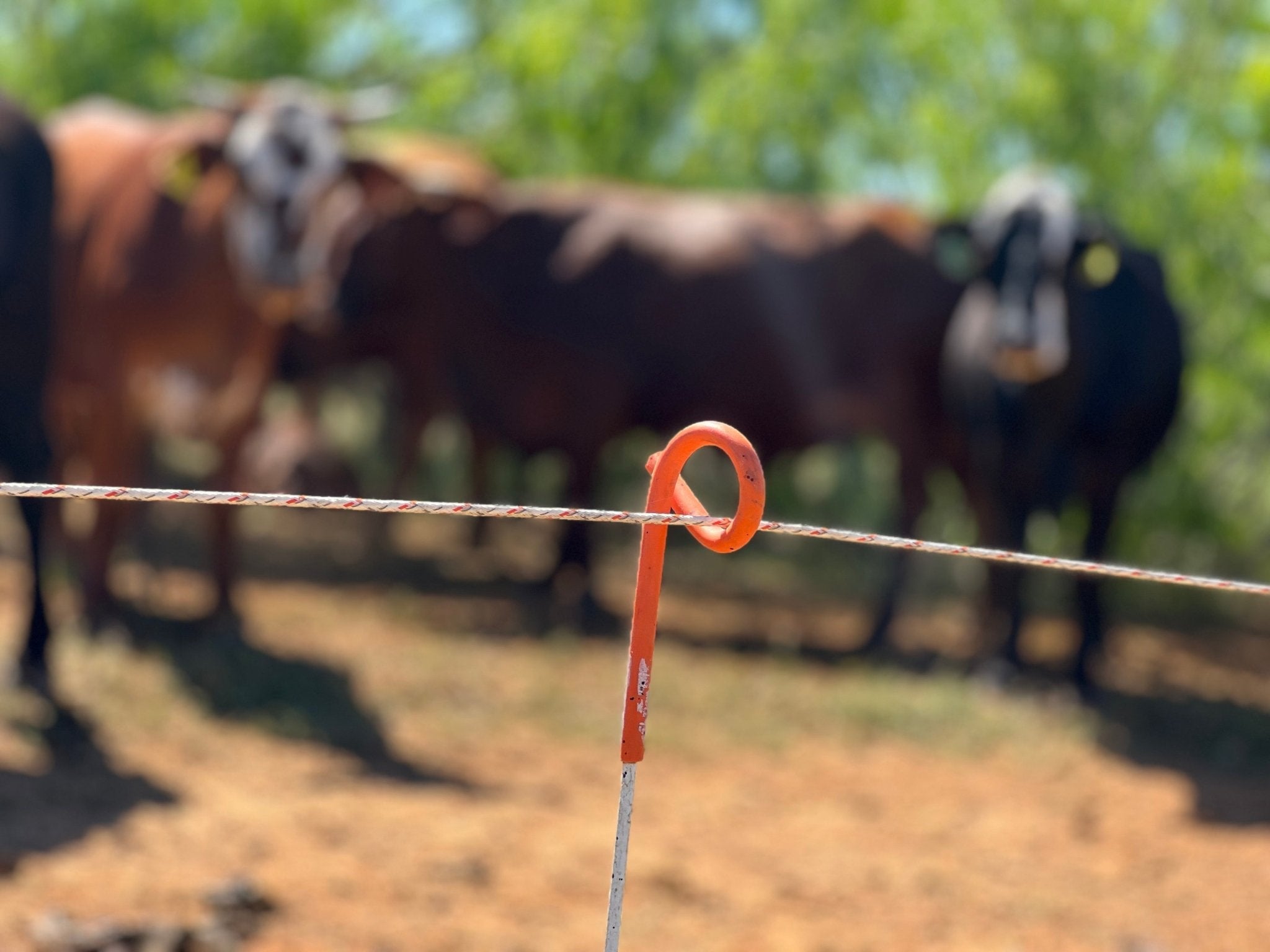 Temporary Fence Posts: Step-In vs Pigtail vs Tredaline (Which Post for Which Job on a Working Rotational Grazing Operation) - Powerflex