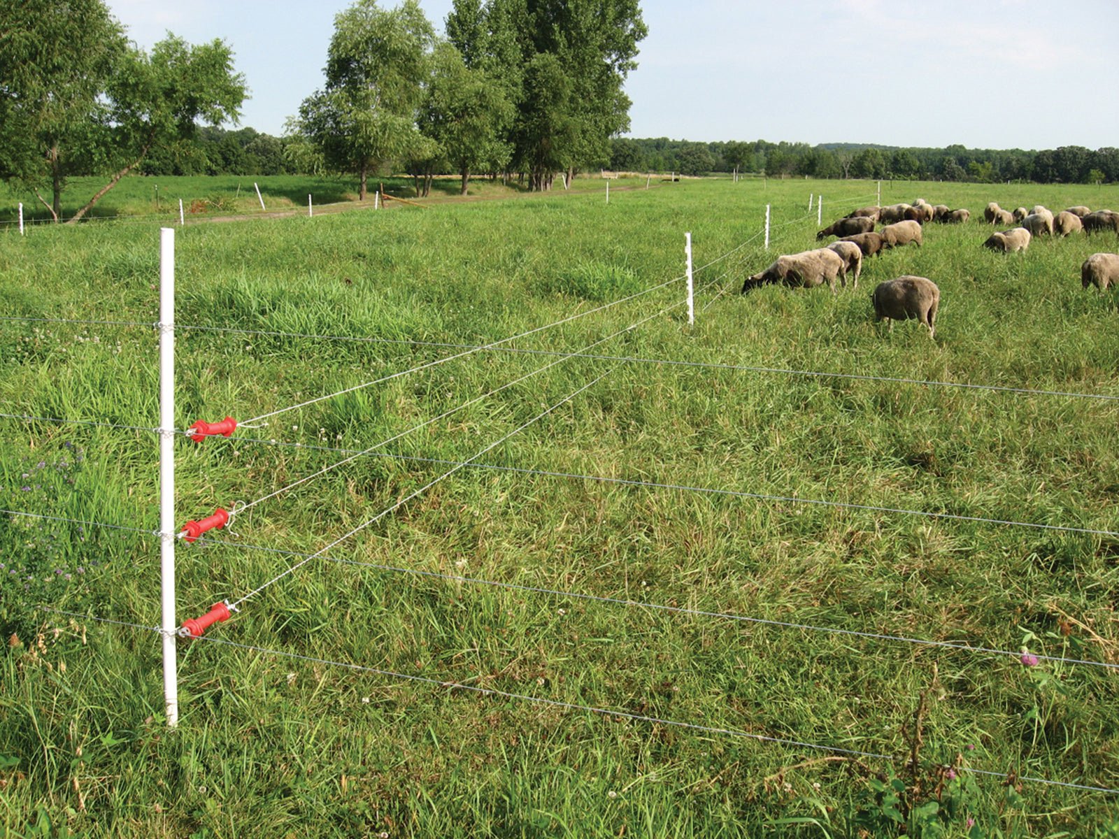 A Complete Guide to Building Electric Fence - Powerflex