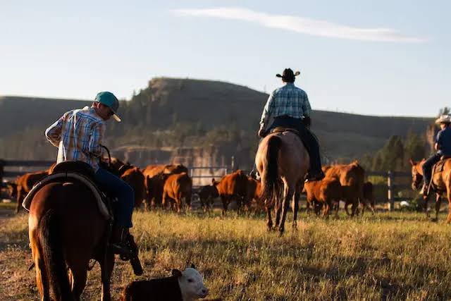 The 5 Infrastructure Problems Ranchers Discover Mid-Season - Powerflex