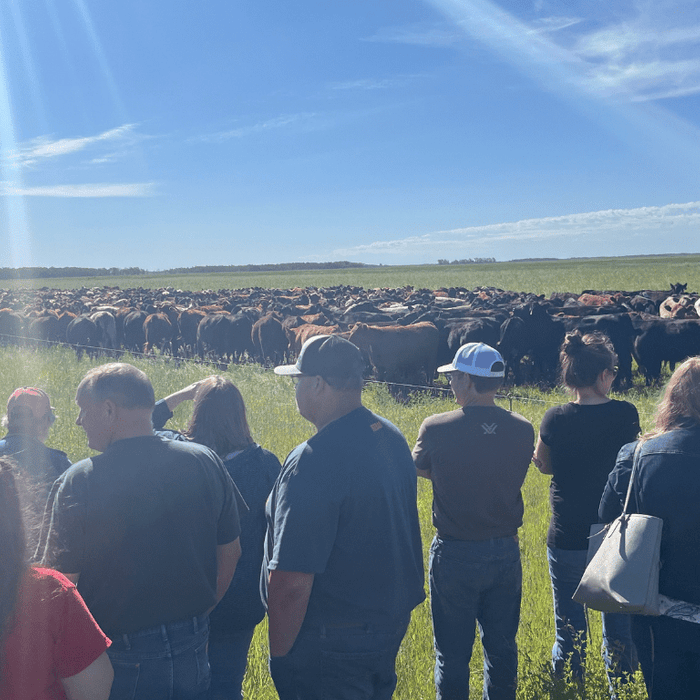 MNGLCA - A Powerflex Partner and Intensive Grazing Pioneer - Powerflex