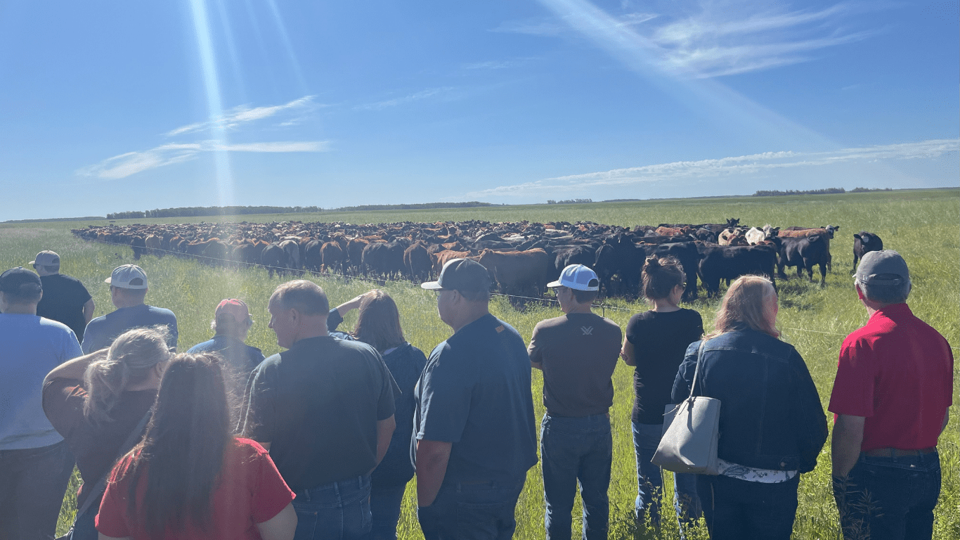 MNGLCA - A Powerflex Partner and Intensive Grazing Pioneer - Powerflex