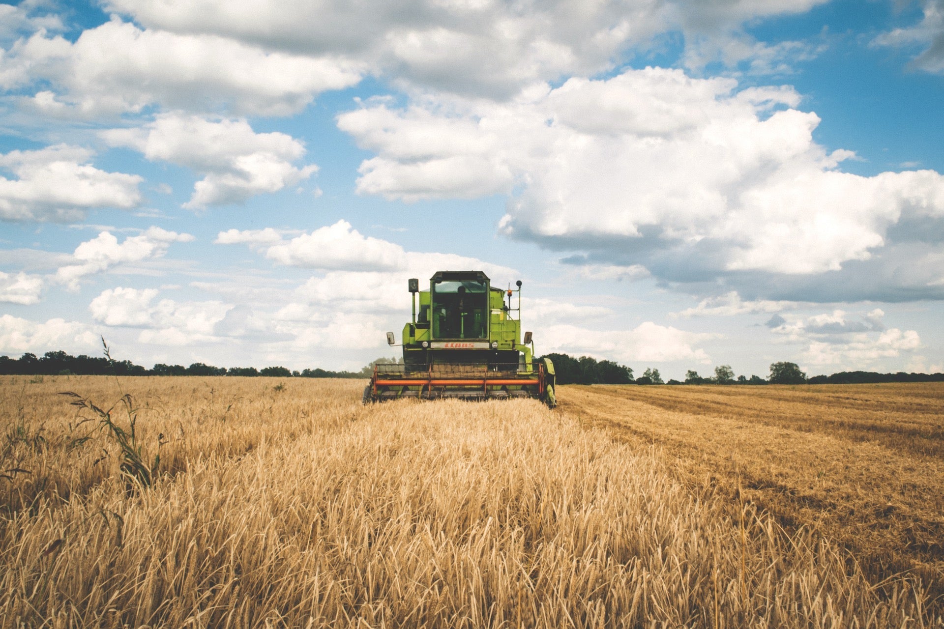 Carbon Credits: What Ranchers Need to Know in 2026 - Powerflex