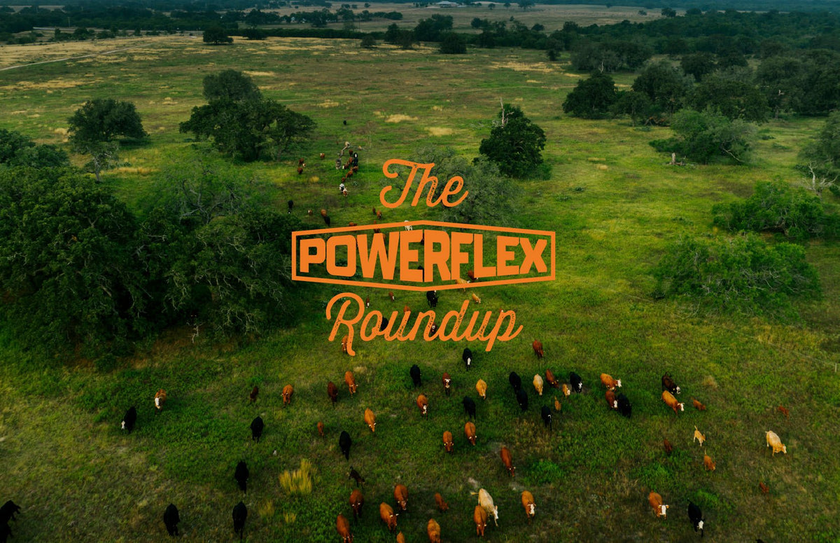 The Powerflex Roundup - Powerflex