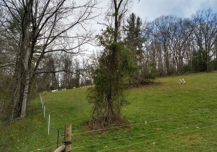 Electric Fence Types: Polybraid vs Electric Netting vs Hi Tensile Woven Wire - Powerflex
