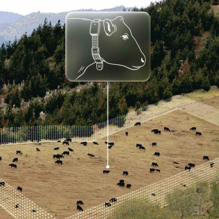 Virtual Fence for Livestock: A Quick Overview of Pros, Cons & Where It Actually Works - Powerflex