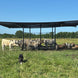 Portable Shade