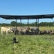 Portable Shade