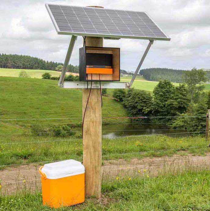 Energizers — Powerflex