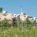 Sheep & Goat Netting - Powerflex