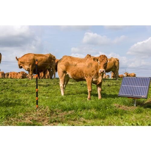 Gallagher S400 Solar Fence Energizer
