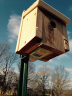 Horizontal T - Post Bracket - 2" - Powerflex