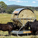 Advantage Feeder - Hay Feeder Roof