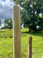 1' x 5' Fiberglass Rods - Uncoated, Undrilled
