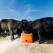 Tusker Single Hole Energy Free Waterer