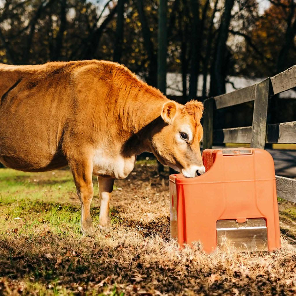 Tusker Single Sided Low Profile Waterer