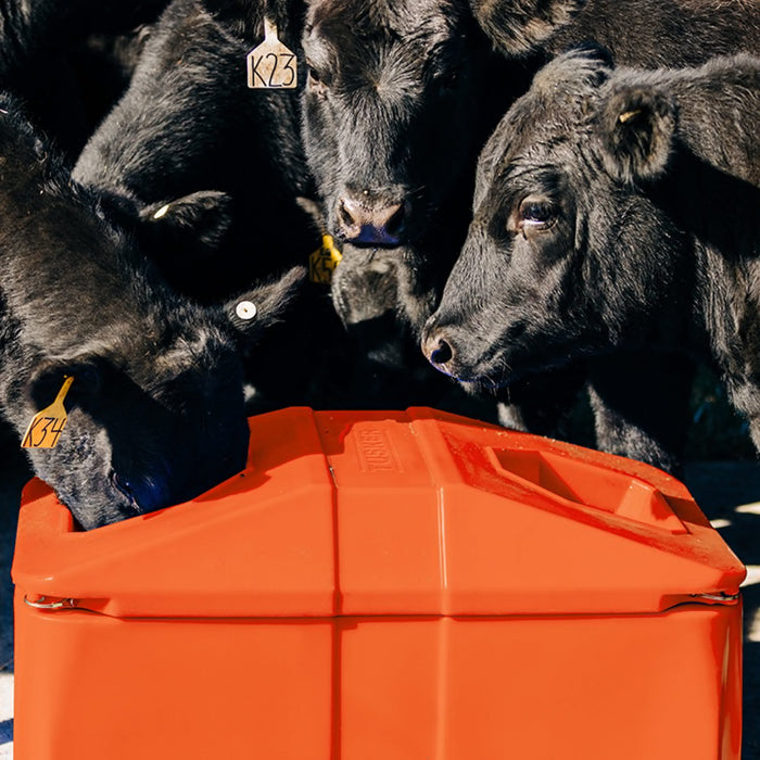 Tusker Four Hole Energy Free Waterer