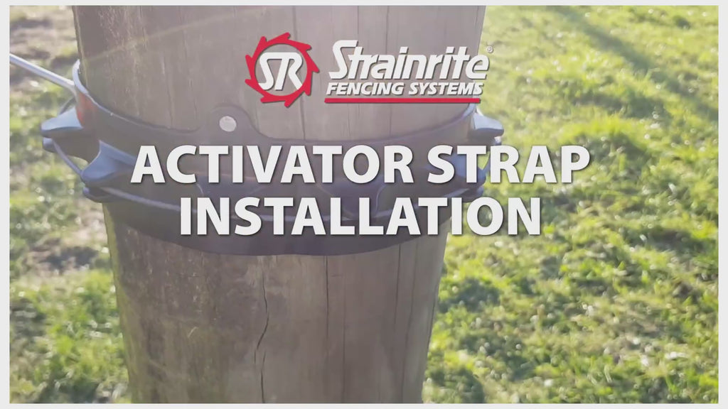 Strainrite Gate Activator Strap – 10-Pack